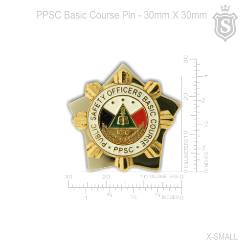 Public Safety Officers Basic Course (PSOBC) Pin