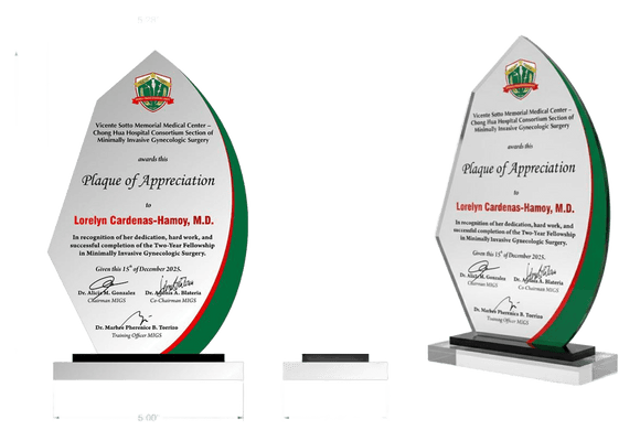 Minimally Invasive Gynecologic Surgery Plaque 2025