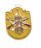 Vital Installation Security Course Pin