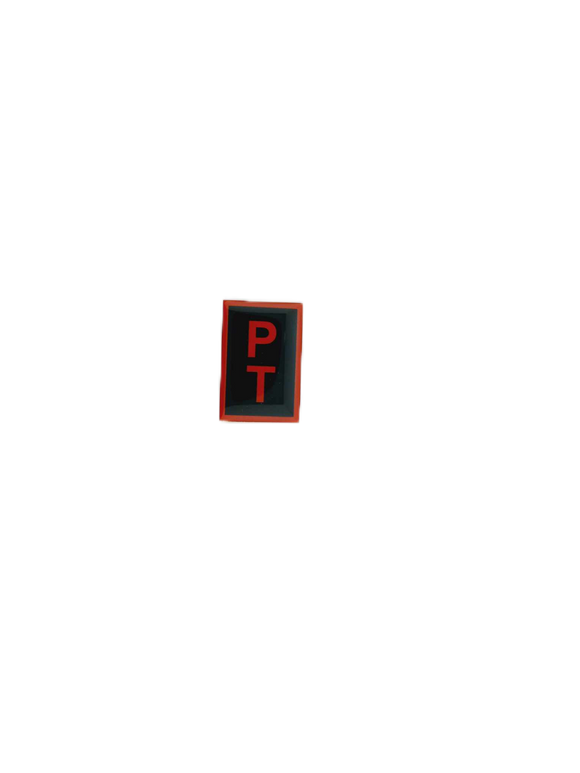 Physical Training Pin
