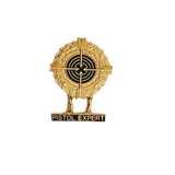Pistol Expert Pin