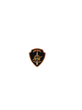 Special Weapons And Tactics (SWAT) Pin