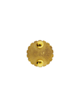 Research and Development Course (RDC) Pin