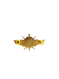 VIP Junior Pin 60mm x 35mm