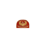Special Action Force (SAF) Loyalty Pin
