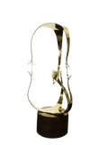 Endeavor Trophy
