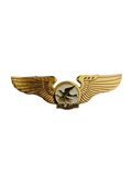 Air Juan Wing Pin