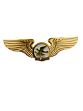 Air Juan Wing Pin