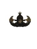 Senior EOD Bombsquad Pin Gold