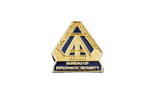 Anti Terrorism Assistance Program (ATAP) Pin