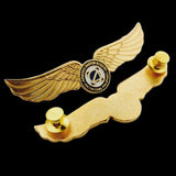 Airworks Aviation Academy Wing Pin