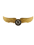 Airworks Aviation Academy Wing Pin