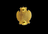CCLEX Pin