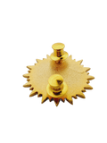 Public Safety Officers Advance Course ( PSOAC ) Pin