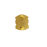 Criminal Investigation Course (CIC) Pin