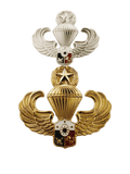 Master Airborne Pin