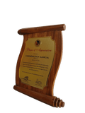 Vice Mayors' League of the Philippines Plaque 2024 - Cebu Chapter