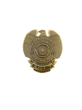 Intelligence Basic Course (IBC) Pin