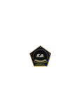 Human Resource Management Officers Course (HRMOC) Pin