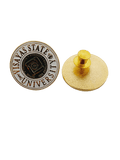 Visayas State University Pin