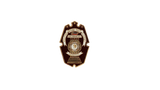 Philippine National Police Academy (PNPA) Kalasag Pin