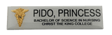 Christ the King College Nameplate - Bachelor of Science in Nursing