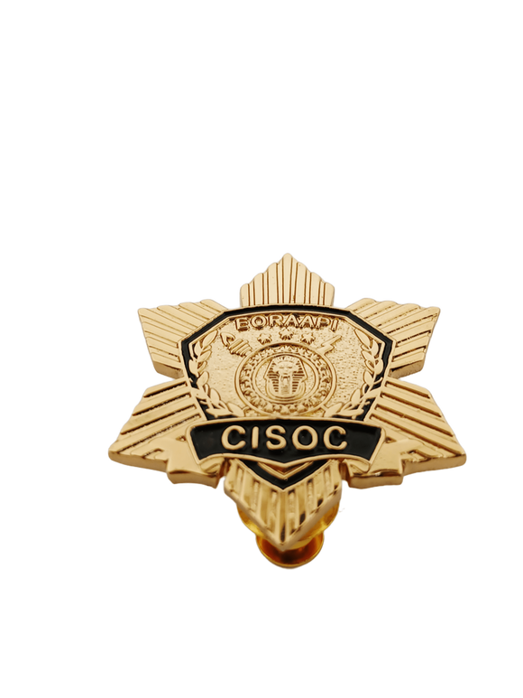 Counter Intelligence and Special Operations Course (CISOC) Pin  2025