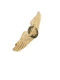 CATS-Cebu Aeronautical Technical School Pin