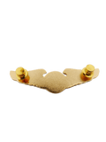 CATS-Cebu Aeronautical Technical School Pin