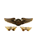 CATS-Cebu Aeronautical Technical School Pin