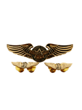 CATS-Cebu Aeronautical Technical School Pin - Wing set