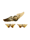 CATS-Cebu Aeronautical Technical School Pin - Wing set