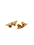 CATS-Cebu Aeronautical Technical School Pin