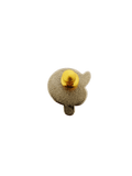 Velez College White Caps Pin