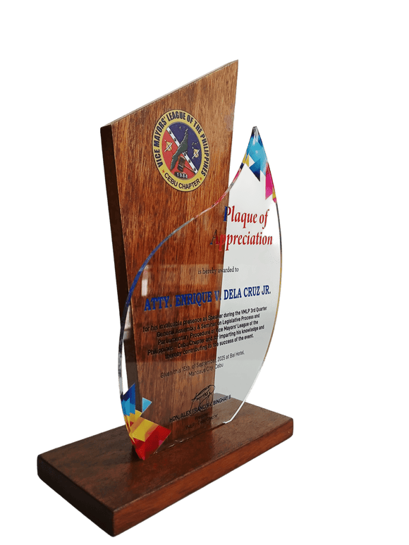 Vice Mayors' League of the Philippines Plaque 2025 - Cebu Chapter