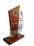 Vice Mayors' League of the Philippines Plaque 2025 - Cebu Chapter