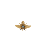 VIP Master Pin