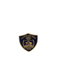 PCG - Information System Technician Pin 2025