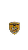 DRD Research and Development Course Pin - Innovator