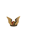 Master Rider Pin
