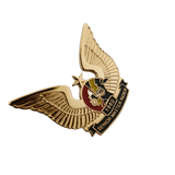 Senior Master Rider Pin