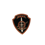Special Weapons And Tactics (SWAT) Pin