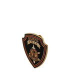 NCRPO Special Weapons and Tactics (SWAT) Pin