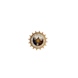 Public Safety Officers Advance Course ( PSOAC ) Pin