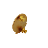 Training Management Staff Course (TMSC) Pin