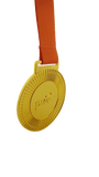 PricewaterhouseCoopers (PWC ) Achievement Medal