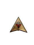 Special Forces Regiment Airborne Pin