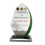 Minimally Invasive Gynecologic Surgery Plaque -  Plaque of Appreciation