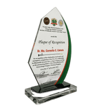 Minimally Invasive Gynecologic Surgery Plaque -  Plaque of Appreciation