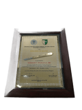 Corazon Locsin Montelibano Memorial Regional Hospital Golden Scalpel Award Frame - Department of Surgery